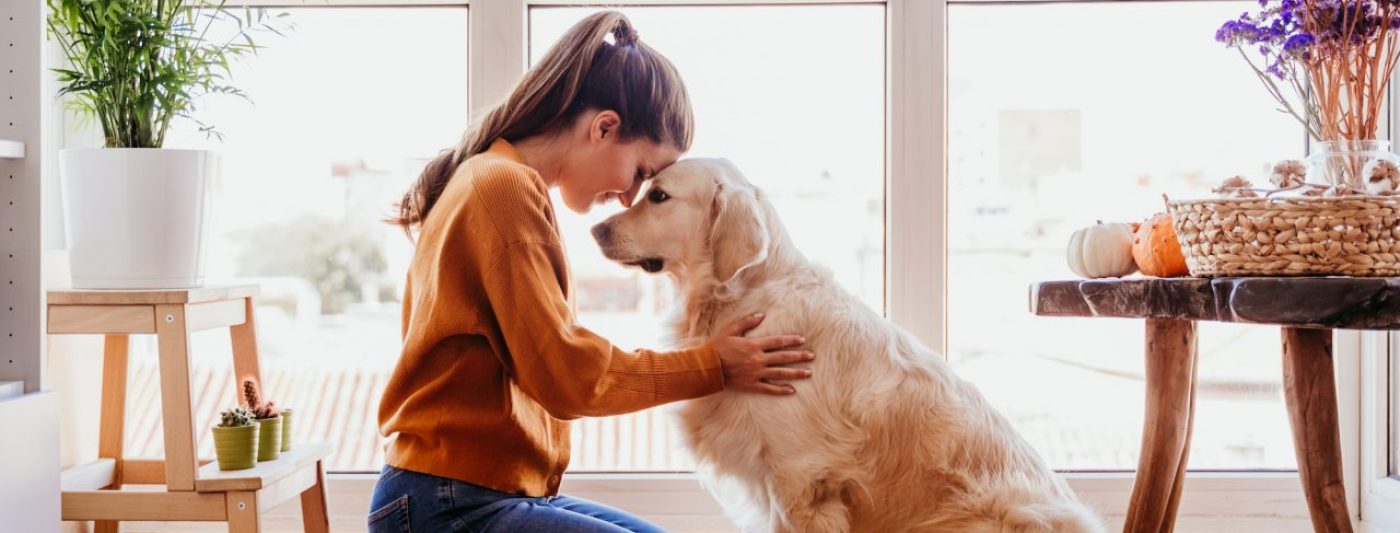 beautiful-woman-hugging-adorable-golden-retriever-dog-at-home-love-for-animals-concept-lifestyle.jpg